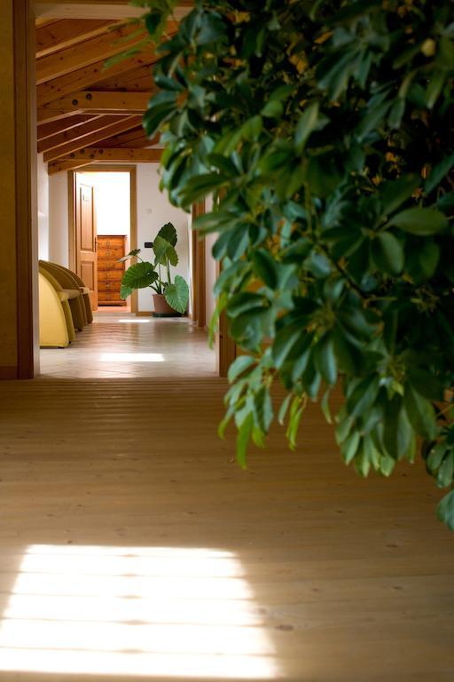 Agriturismo Al Casale Кодройпо Экстерьер фото