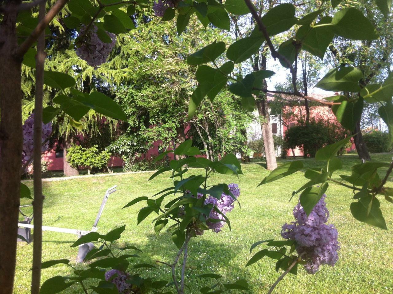 Agriturismo Al Casale Кодройпо Экстерьер фото